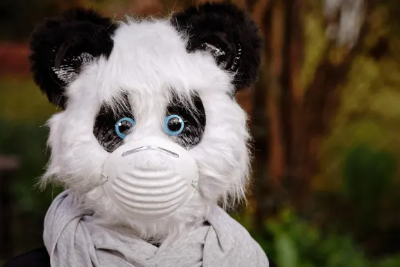 Kazino Hot Line Pagalba